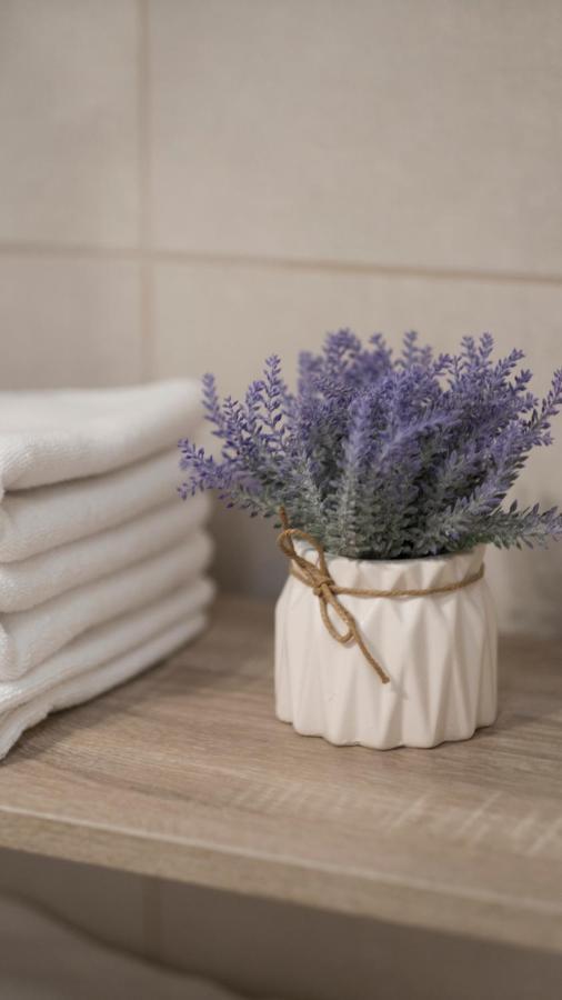Petlov Salas Rooms Novi Sad Ngoại thất bức ảnh